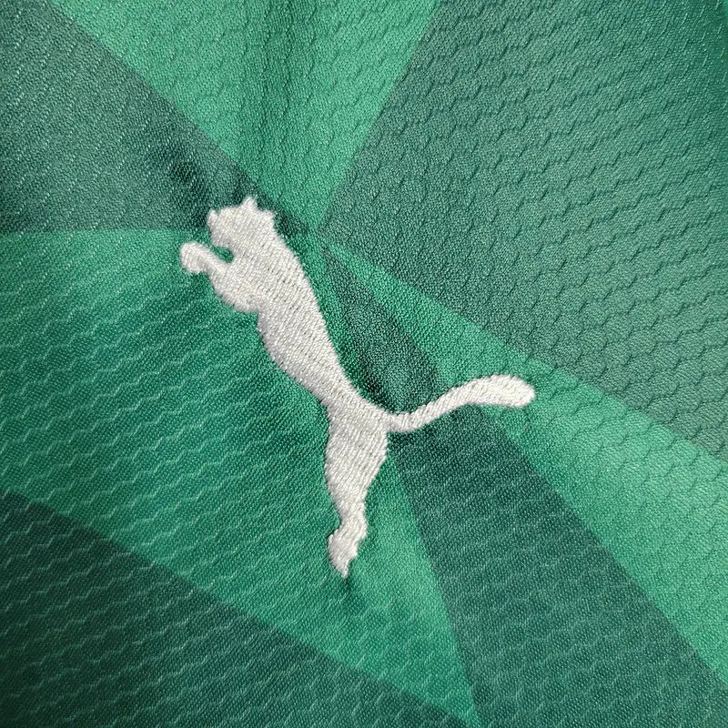 Kit Infantil do Verdão 23/24 Home - Verde